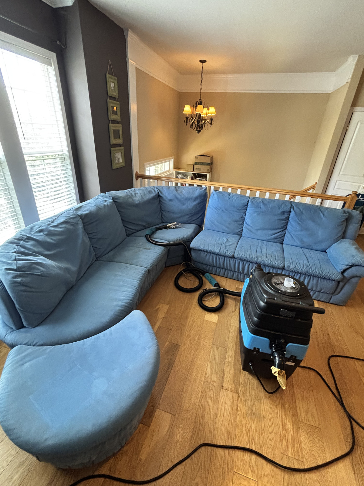 Blue curved sectional being steam cleaned by Double Deep Clean