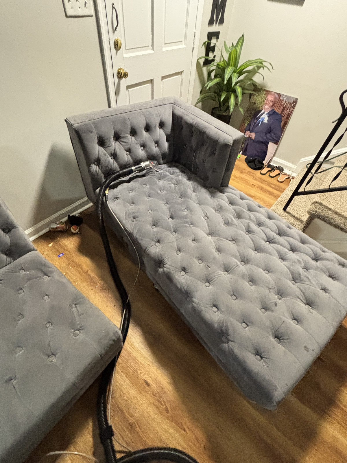 Velvet tufted chaise bench after upholstery cleaning