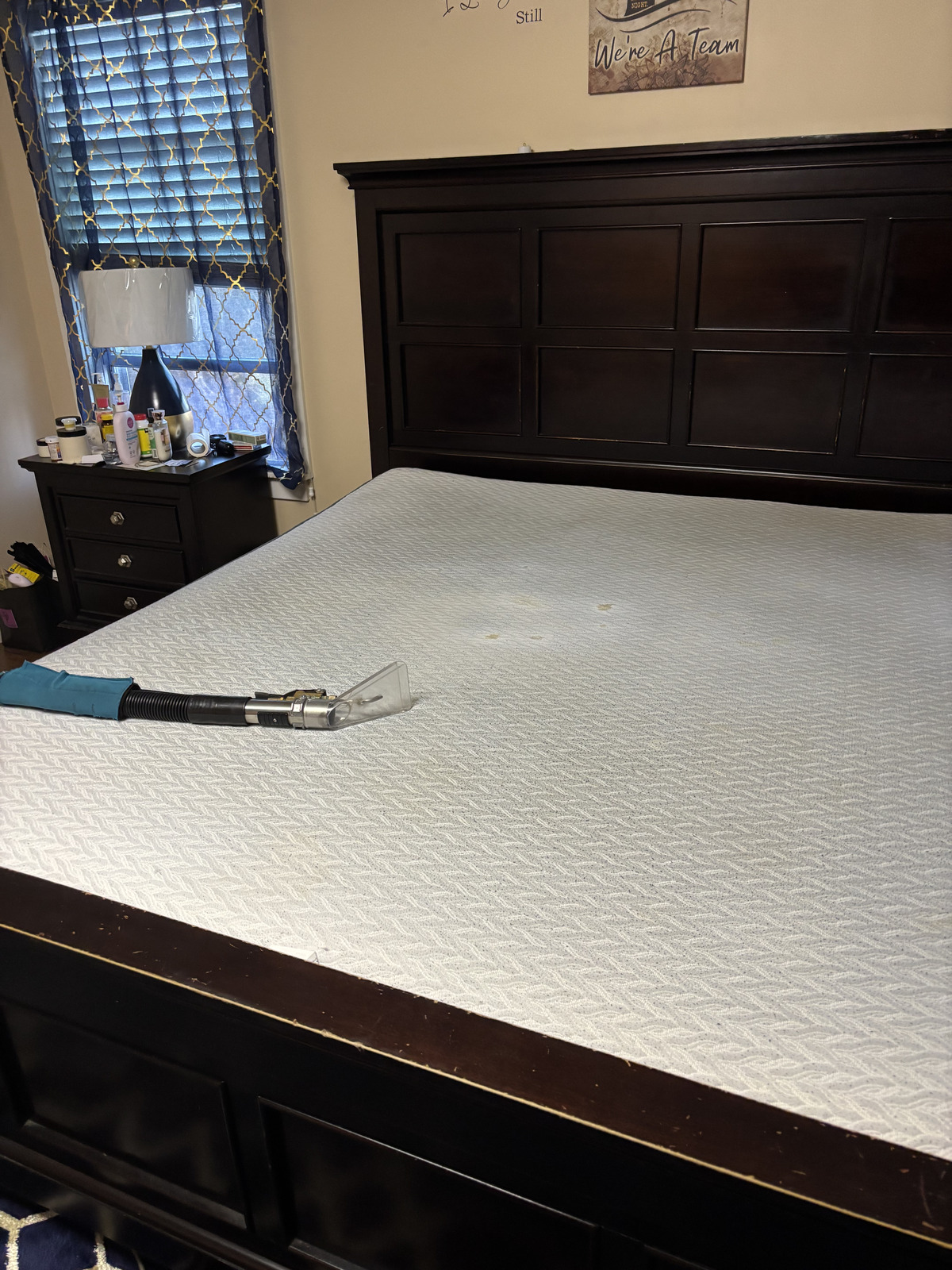 Mattress being deep cleaned with hot-water extraction